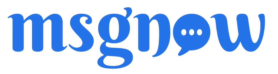 msgnow.io Logo